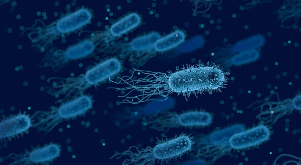 Jak dochodzi do zakażenia Helicobacter pylori?